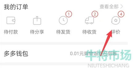 拼多多評(píng)價(jià)怎么刪除  拼多多怎么刪自己評(píng)價(jià)記錄東西