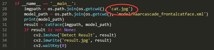 Python實(shí)戰(zhàn)之OpenCV實(shí)現(xiàn)貓臉檢測(cè)