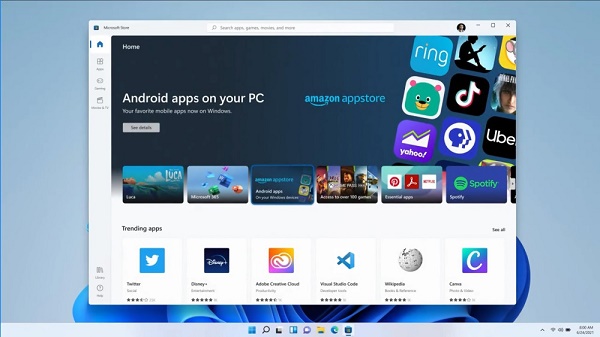 Win11無法連接微軟商店怎么辦？Win11無法連接微軟商店的解決方法