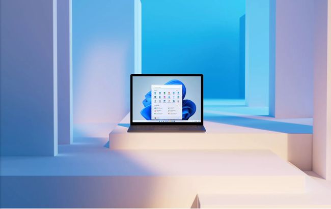為什么沒(méi)收到Win11的推送 怎么獲得Win11正式版推送