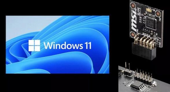 Win11系統(tǒng)怎么查詢tpm版本？Win11系統(tǒng)查詢tpm版本方法