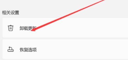Win11資源管理器自動重啟怎么辦？Win11資源管理器自動重啟的解決方法