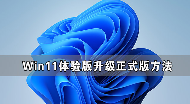 Win11體驗版怎么升級正式版 Win11體驗版升級正式版方法
