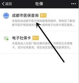 不用關(guān)注,微信直接查詢(xún)社保(醫(yī)保)余額/繳費(fèi)