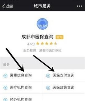 不用關(guān)注,微信直接查詢(xún)社保(醫(yī)保)余額/繳費(fèi)