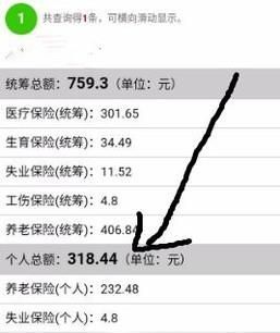 不用關(guān)注,微信直接查詢(xún)社保(醫(yī)保)余額/繳費(fèi)