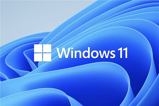 Win11外接顯示器沒反應(yīng)怎么辦？