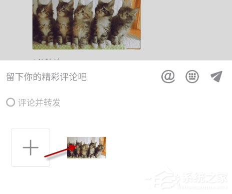 抖音貓咪搖頭蹦迪表情包怎么發？抖音5只貓點頭表情包下載