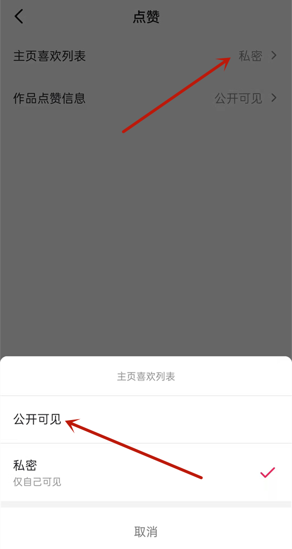 抖音公開(kāi)喜歡的作品在哪里打開(kāi)