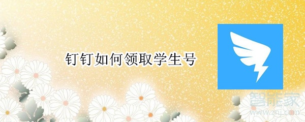 釘釘如何領(lǐng)取學(xué)生號