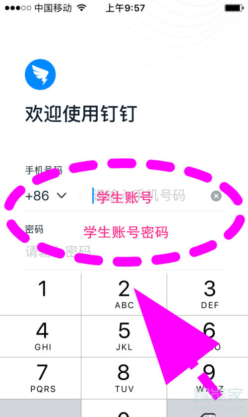 釘釘如何領(lǐng)取學(xué)生號