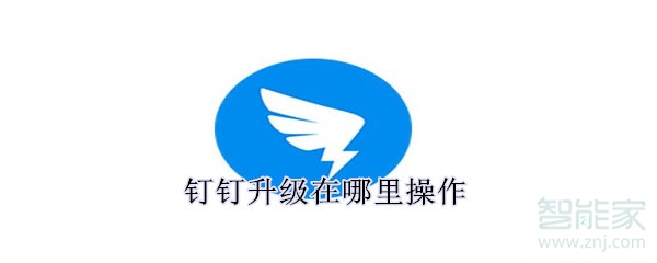 釘釘升級(jí)在哪里操作