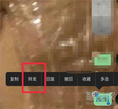 qq怎么一下發(fā)100條信息