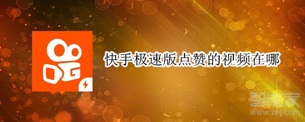 快手極速版點贊的視頻在哪