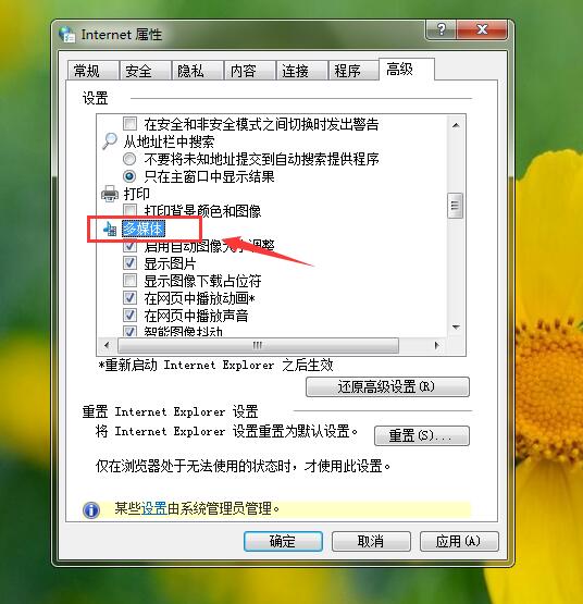 Win10瀏覽器無(wú)法加載插件怎么辦?Win10瀏覽器插件加載不出來(lái)