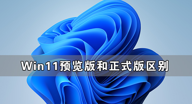 Win11預覽版和正式版有什么區(qū)別