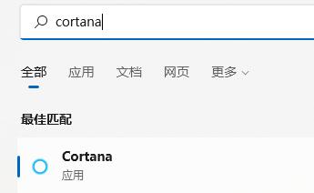 Win11語(yǔ)音助手怎么開(kāi)啟？Win11語(yǔ)音助手開(kāi)啟的方法