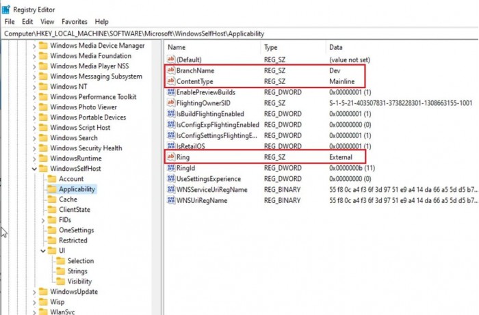 如何在不符合條件設備上接收首批Windows 11版本更新？