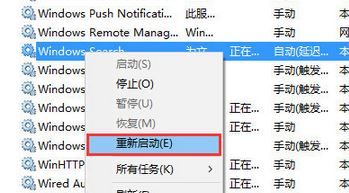Win10的搜索框搜不到東西怎么辦？