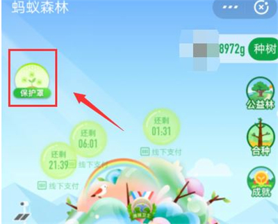 支付寶種樹(shù)彩色樹(shù)怎么弄的