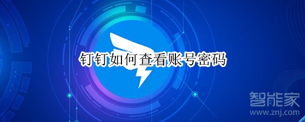 釘釘如何查看賬號密碼