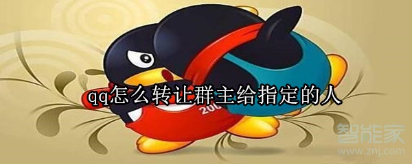 qq怎么轉(zhuǎn)讓群主給指定的人