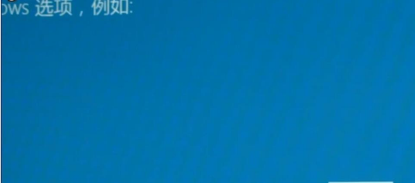 win102004開(kāi)機(jī)閃屏無(wú)法進(jìn)入桌面的修復(fù)教程