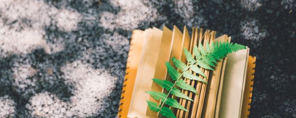 一句簡短的風景句子 一句簡短的風景句子發(fā)朋友圈