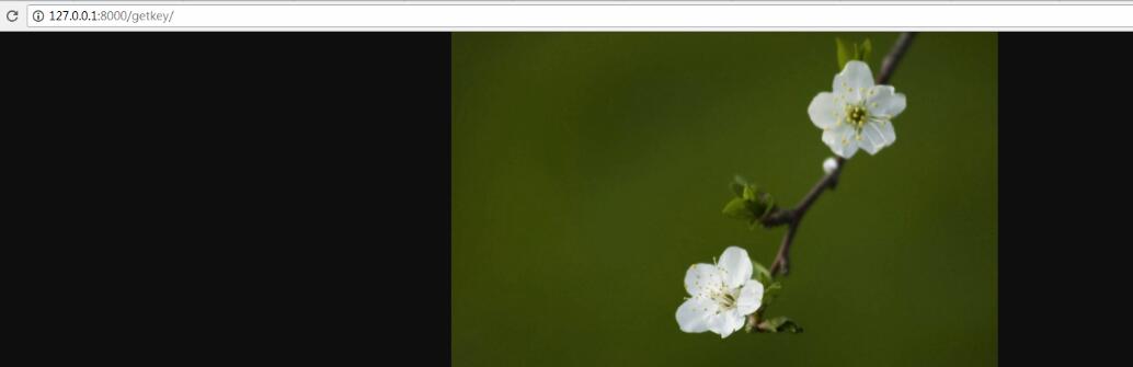 對(duì)python中各個(gè)response的使用說(shuō)明