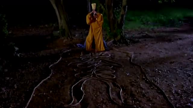 抖音最火林正英鎮(zhèn)圖圖片有哪些_抖音很火的圖片林正英分享