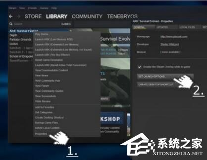 Win10玩生存進化報錯“視頻驅(qū)動程序崩潰并被重置”怎么解決？