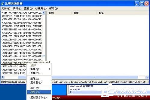 WinXP系統(tǒng)Flash Player安裝遇到錯(cuò)誤怎么辦？