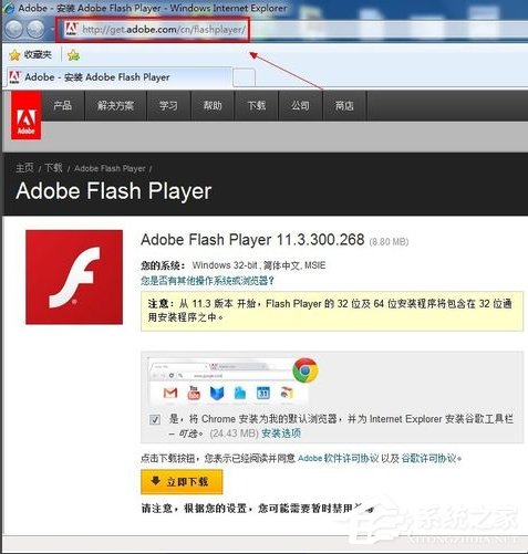 WinXP系統(tǒng)Flash Player安裝遇到錯(cuò)誤怎么辦？