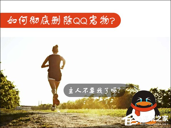 Win7如何卸載QQ寵物？關(guān)閉QQ寵物自動登錄的方法