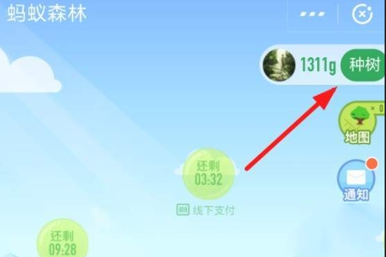 在支付寶里怎么認(rèn)領(lǐng)螞蟻森林保護(hù)地?認(rèn)領(lǐng)螞蟻森林保護(hù)地的方法說明