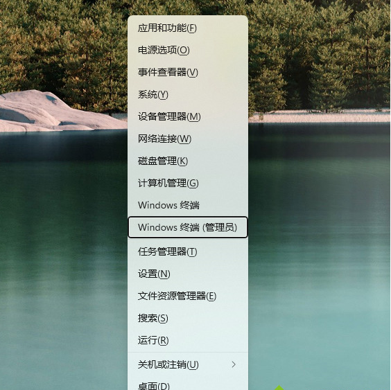 Win11應(yīng)用商店怎么下載 Win11應(yīng)用商店下載方法
