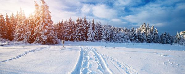 關(guān)于下雪的文案 朋友圈下雪的文案