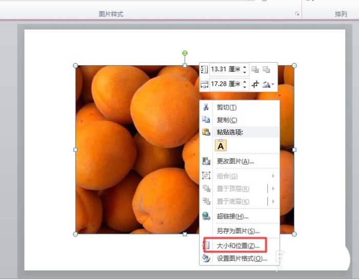 ppt2010中旋轉(zhuǎn)圖片角度具體操作方法