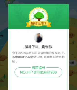 支付寶螞蟻森林環(huán)保證書如何獲取  螞蟻森林環(huán)保證書獲取教程
