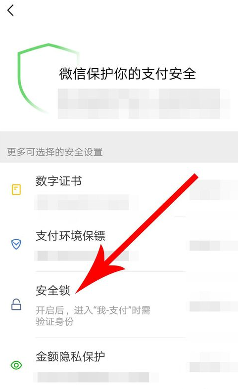 微信支付如何設置安全鎖？ 微信支付安全鎖設置方法教程解答！