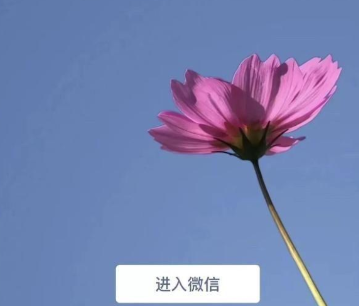 微信7.0后悔更新了如何恢復(fù)？微信7.0后悔更新后恢復(fù)方法教程解答！