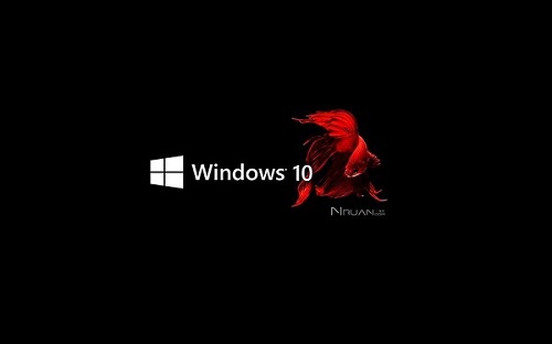 重裝win10沒(méi)有無(wú)線網(wǎng)卡驅(qū)動(dòng)解決方法