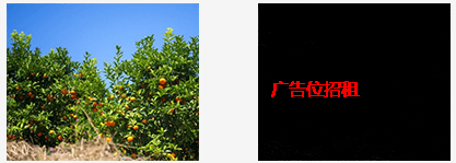 vue中使用帶隱藏文本信息的圖片、圖片水印的方法