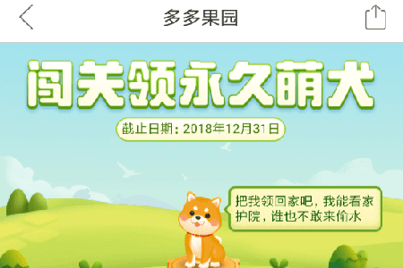 拼多多果園如何養狗？ 果園養狗方法攻略介紹！