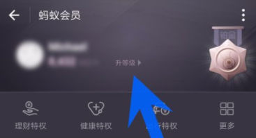支付寶怎么查看螞蟻會(huì)員等級(jí)_螞蟻會(huì)員具體操作步驟