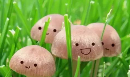 微信微粒貸怎么開通？小編教你玩轉(zhuǎn)微粒貸！