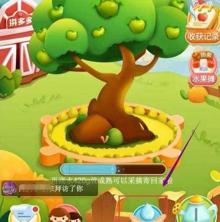 拼多多果樹有幾個(gè)階段？成長階段詳解