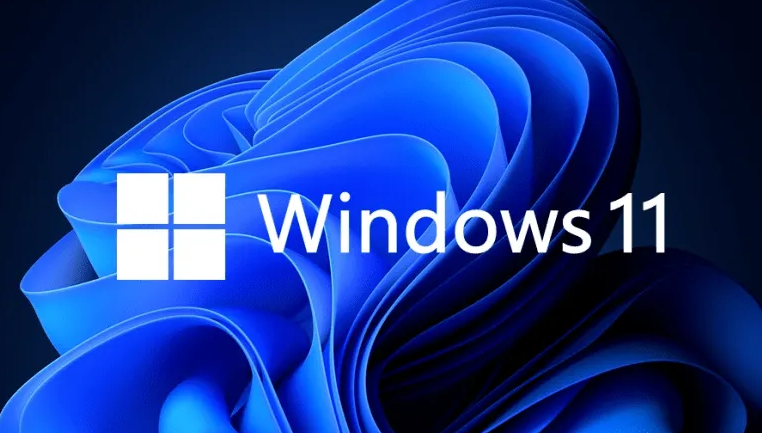 Windows11優(yōu)化磁盤驅動技巧分享