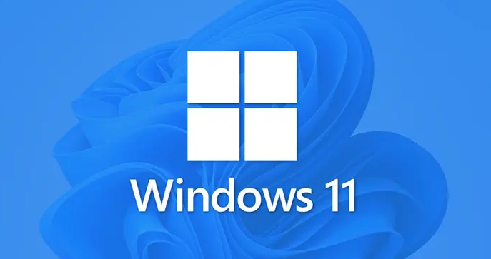 Windows11修改網(wǎng)絡(luò)地址ip教程分享