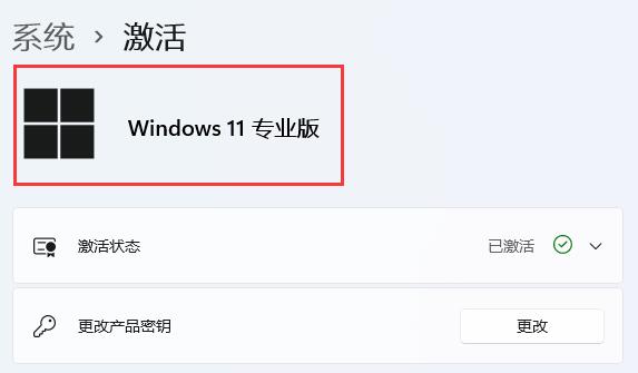 win11安裝時無法選擇專業(yè)版